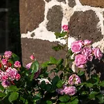 D'hotes Et Du Tapissier 4* Polignac (Haute-Loire)