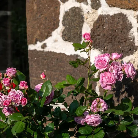 D'hotes Et Du Tapissier 4* Polignac (Haute-Loire)