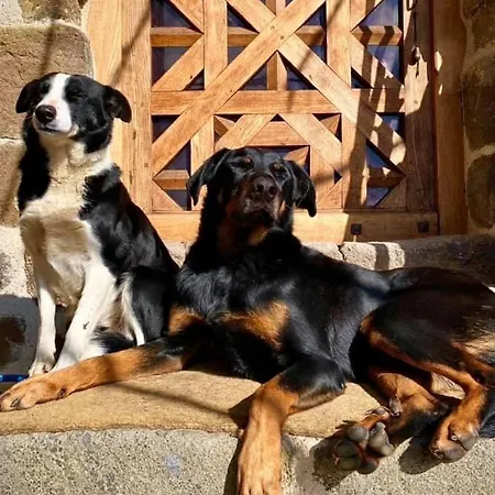 D'hotes Et Du Tapissier