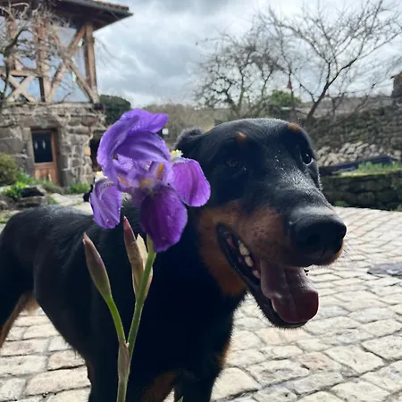 D'hotes Et Du Tapissier Gasthuis 4*