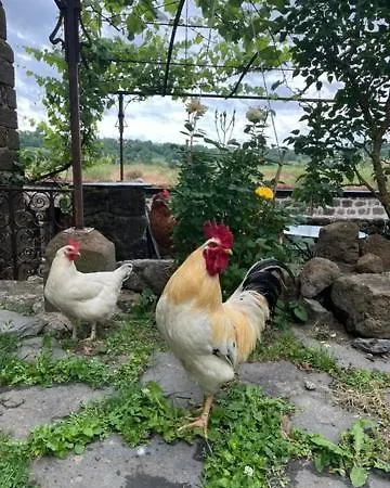 Vendégház D'hotes Et Du Tapissier
