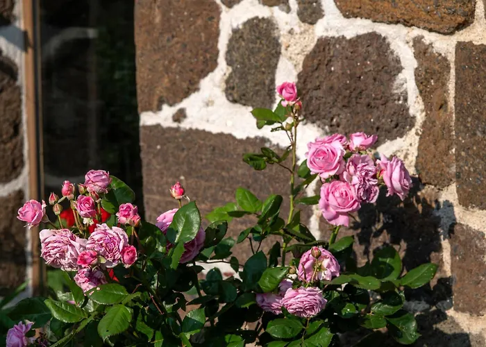 D'hotes Et Du Tapissier 4* Polignac (Haute-Loire)